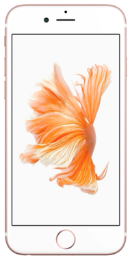 Замена стекла iPhone 6s Plus
